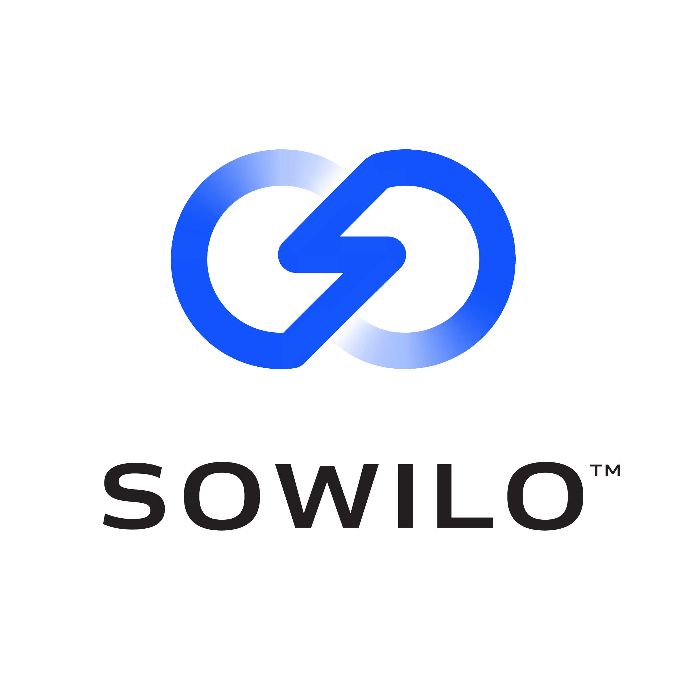 SOWILO SRL Logo